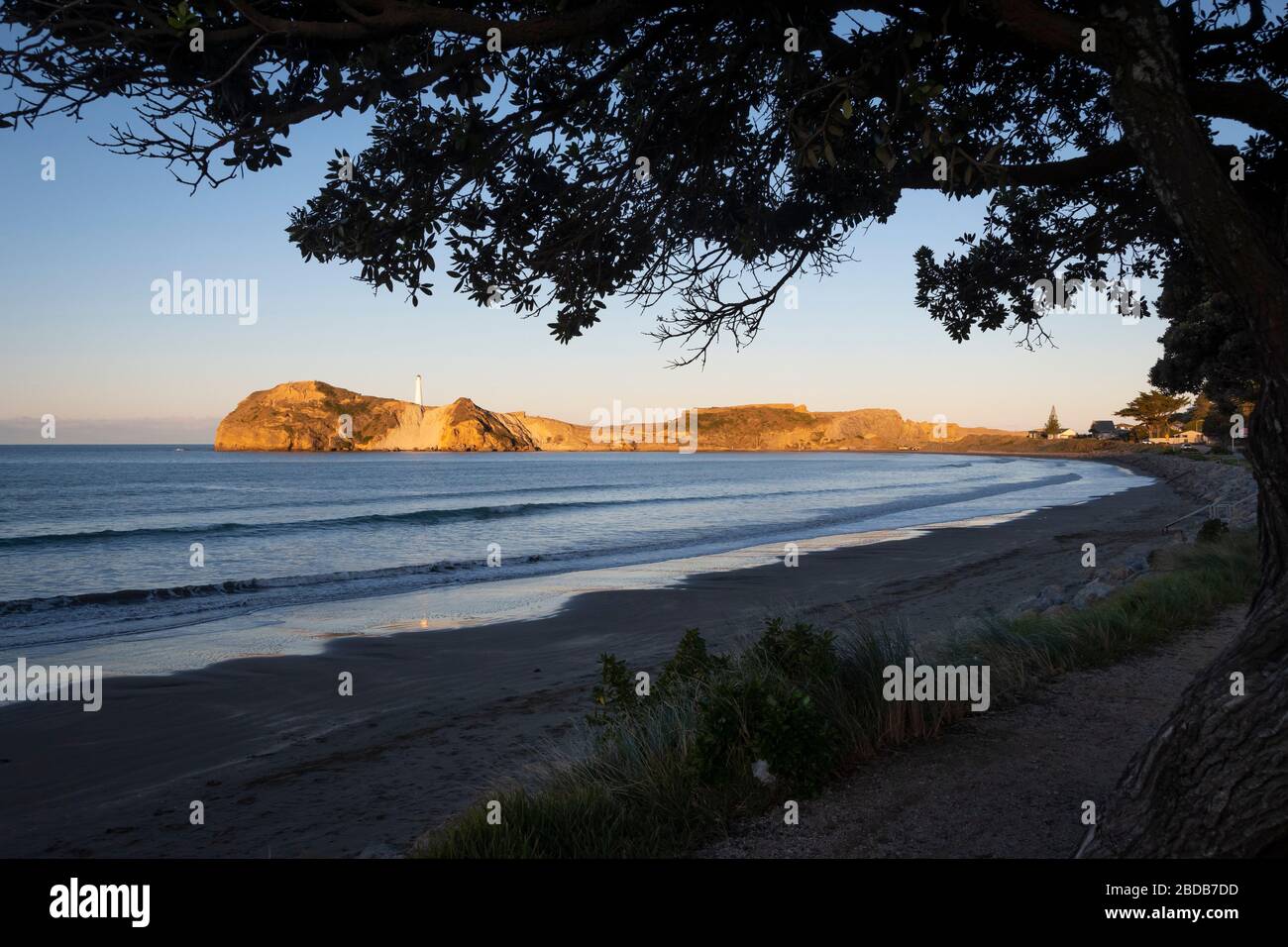 Spiaggia e faro a Castlepoint, Wairarapa, Nuova Zelanda Foto Stock
