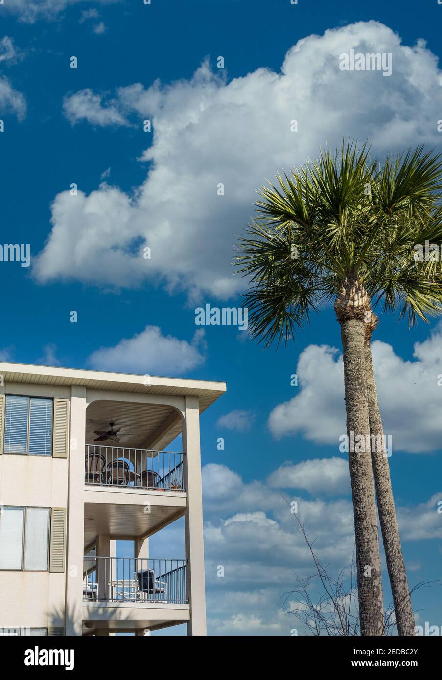 Verde intorno al Muro di Dubrovnik a Dusk Foto Stock