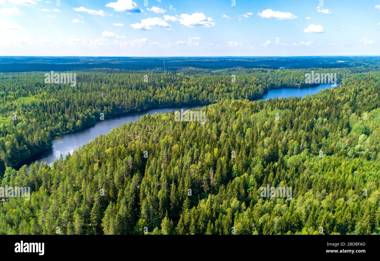 Finlandia paesaggio in estate. Foto Stock