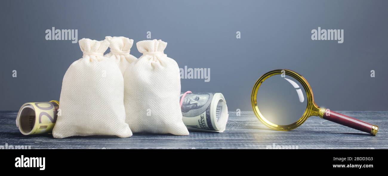 Cancella borse di denaro e lente d'ingrandimento. Monitoraggio finanziario delle transazioni in contanti sospette. Ricerca fonti di finanziamento dei progetti. Investimento redditizio Foto Stock