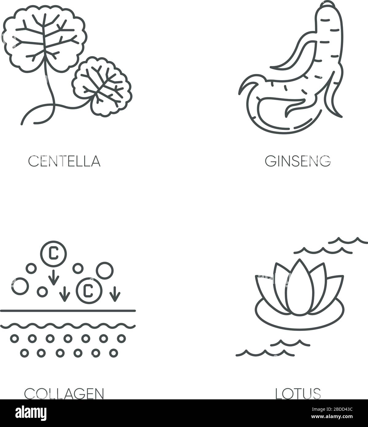 Set di icone lineari Perfect pixel ingrediente cosmetico. Stabilimento di Centella. Radice di ginseng. Formula del collagene. Simboli di contorno a linea sottile personalizzabili. Isolato Illustrazione Vettoriale