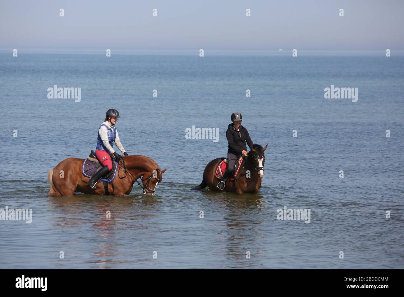 28.04.2018, Dierhagen, Meclemburgo-Pomerania occidentale, Germania - le giovani donne stanno cavalcando i loro cavalli nel Mar Baltico. 00S180428D079CAROEX.JPG [MODELLO Foto Stock