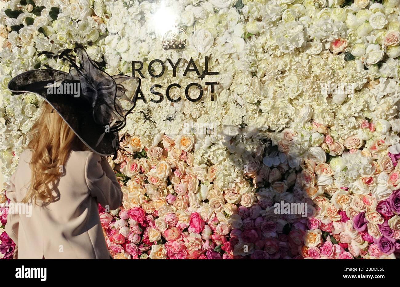 21.06.2018, Ascot, Windsor, Gran Bretagna - donna elegantemente vestita con cappello di fronte a un muro di rose durante la settimana di gara Royal Ascot. 00S1 Foto Stock
