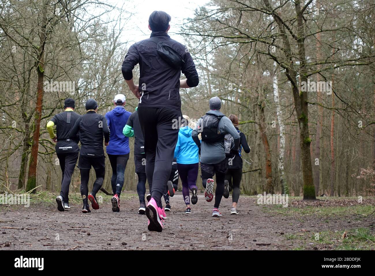 08.03.2020, Berlino, Berlino, Germania - Joggers corrono attraverso Grunewald. 00S200308D062CAROEX.JPG [VERSIONE MODELLO: NO, VERSIONE PROPRIETÀ: NO (C) CARO Foto Stock