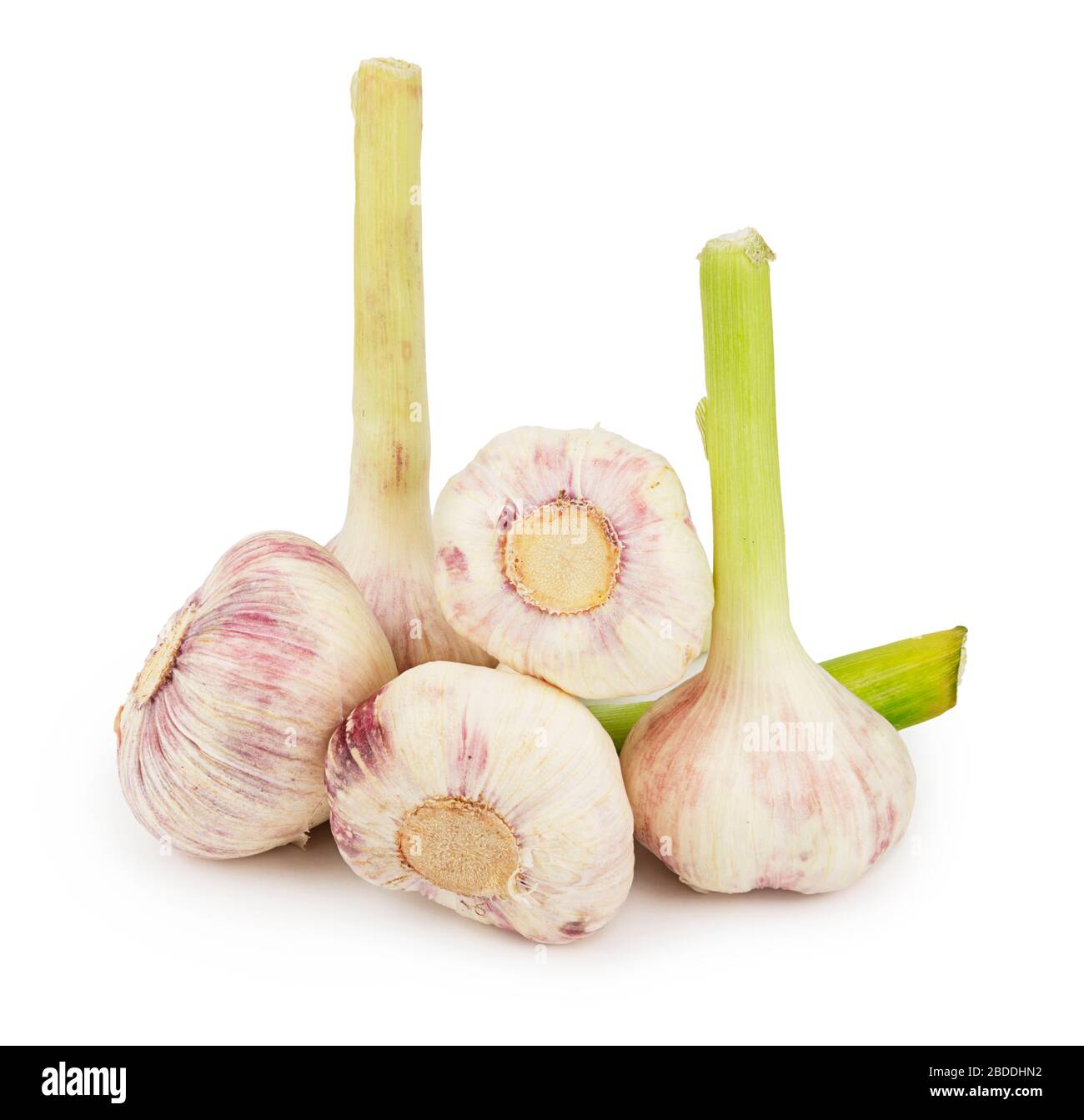 Mucchio di aglio fresco intero isolato su sfondo bianco con ombra morbida Foto Stock