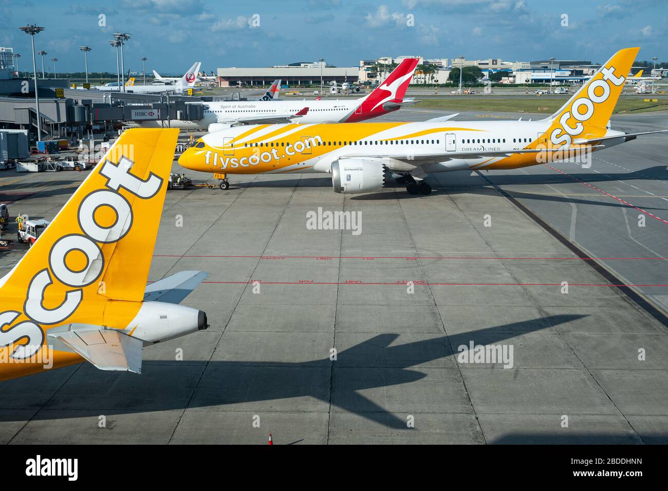 31.01.2020, Singapore, , Singapore - UN aereo passeggeri della Boeing B787 Dreamliner Scoot Airlines durante il pushback all'aeroporto di Changi. 0SL200131D031CAROEX.JP Foto Stock