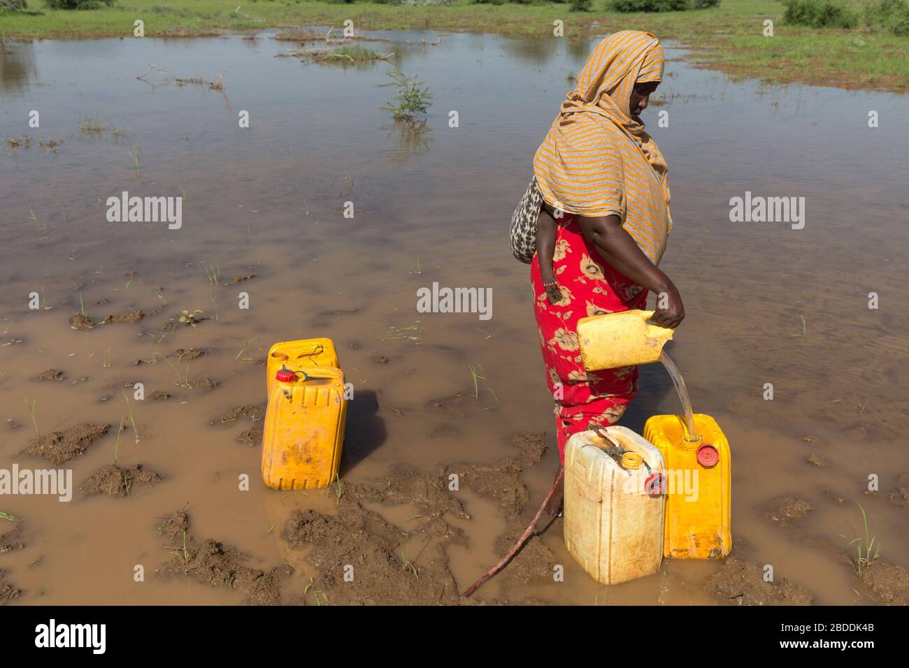 14.11.2019, Gode, Regione somala, Etiopia - una donna che versa l'acqua da una fonte di acqua naturale in un barattolo d'acqua. Documentazione del progetto dei reli Foto Stock