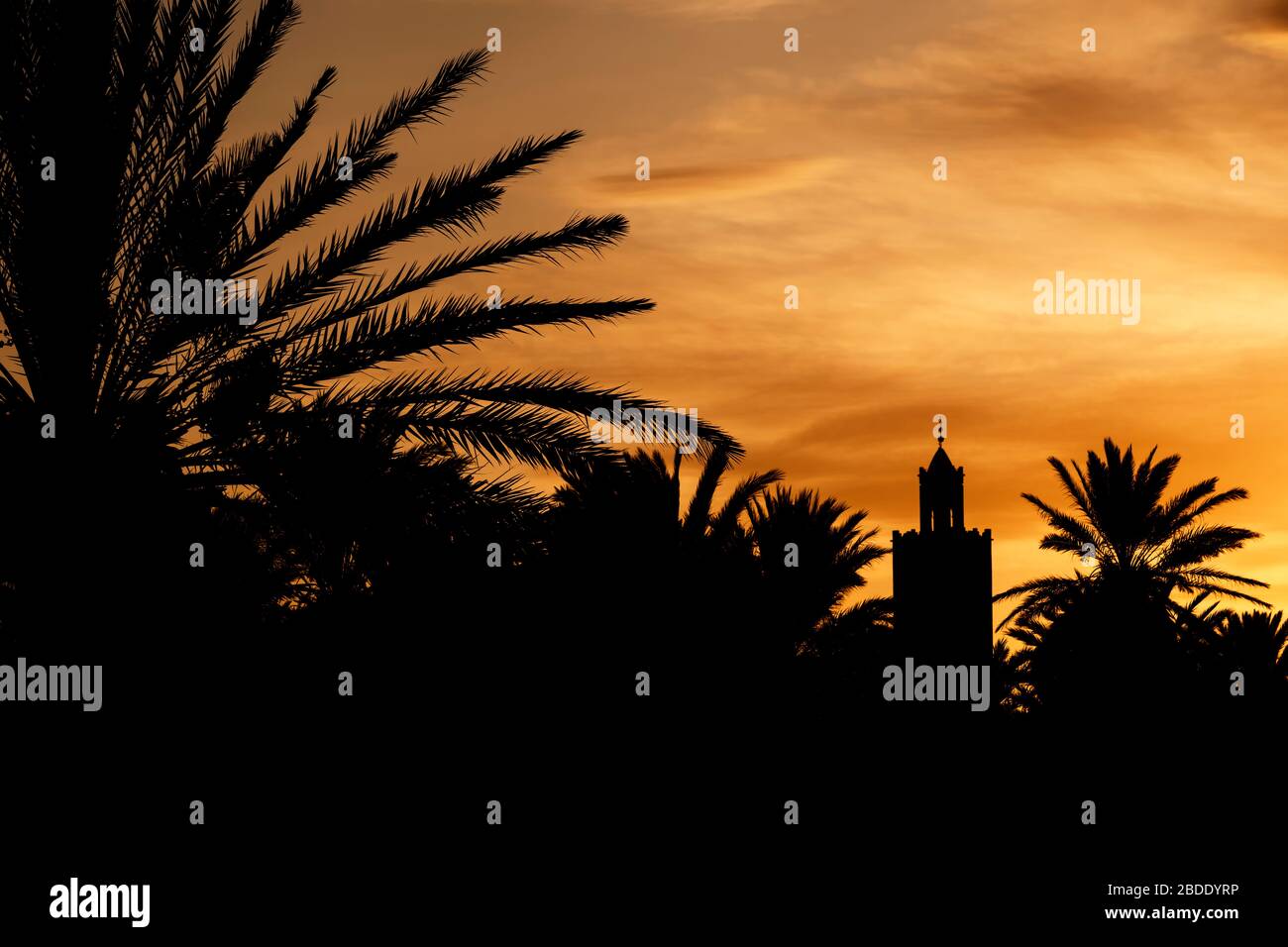Silhouette di un minareto (moschea) e palme da dattero contro un bel cielo colorato al tramonto. A Ouarzazate, Marocco. Foto Stock