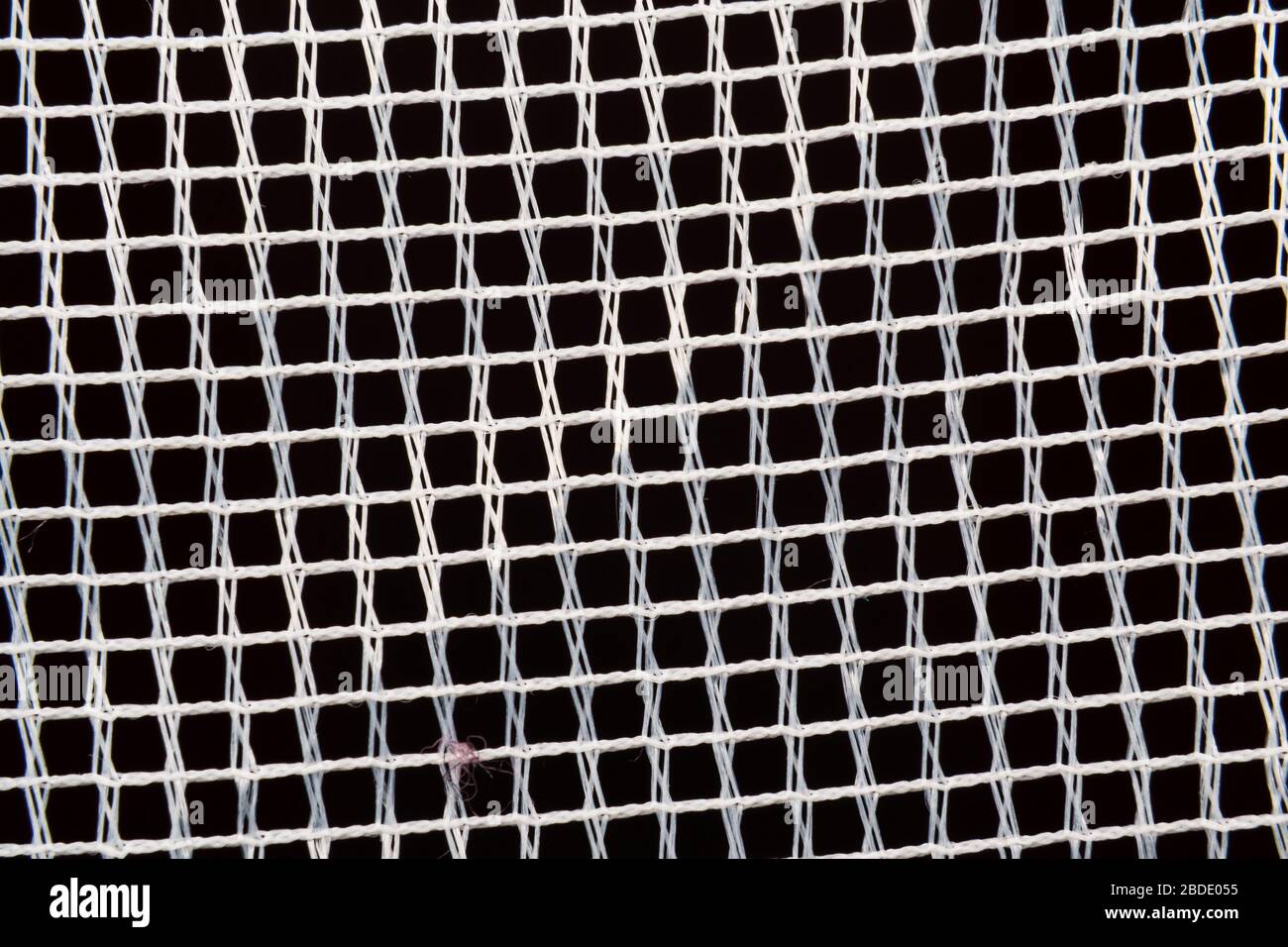 sfondo astratto web bianco Foto Stock