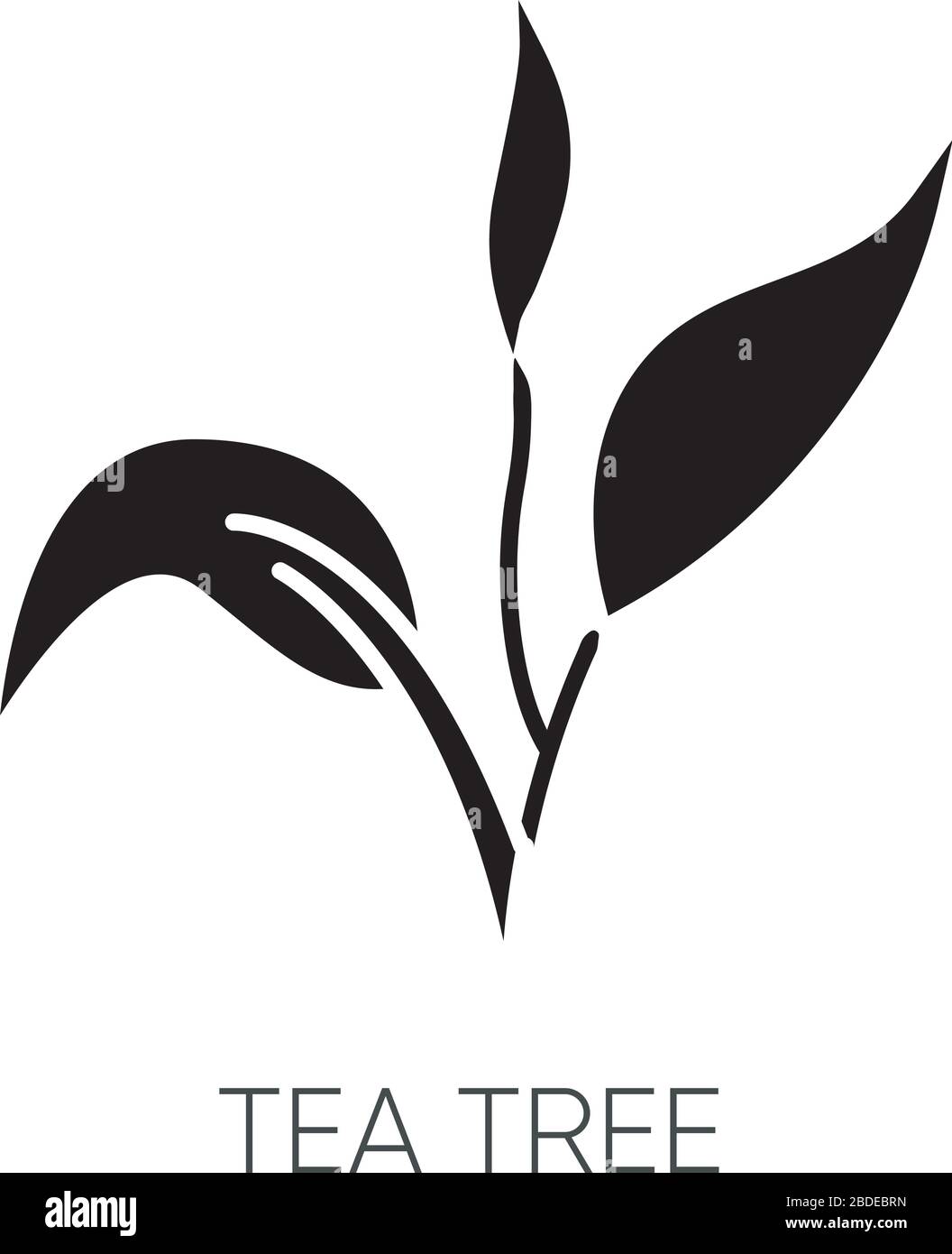 Icona glifo nero albero del tè. Componente del prodotto per la cura della pelle. Bellezza biologica. Umidità di erbe. Olio essenziale. Ingrediente cosmetico naturale. Simbolo della silhouette Illustrazione Vettoriale