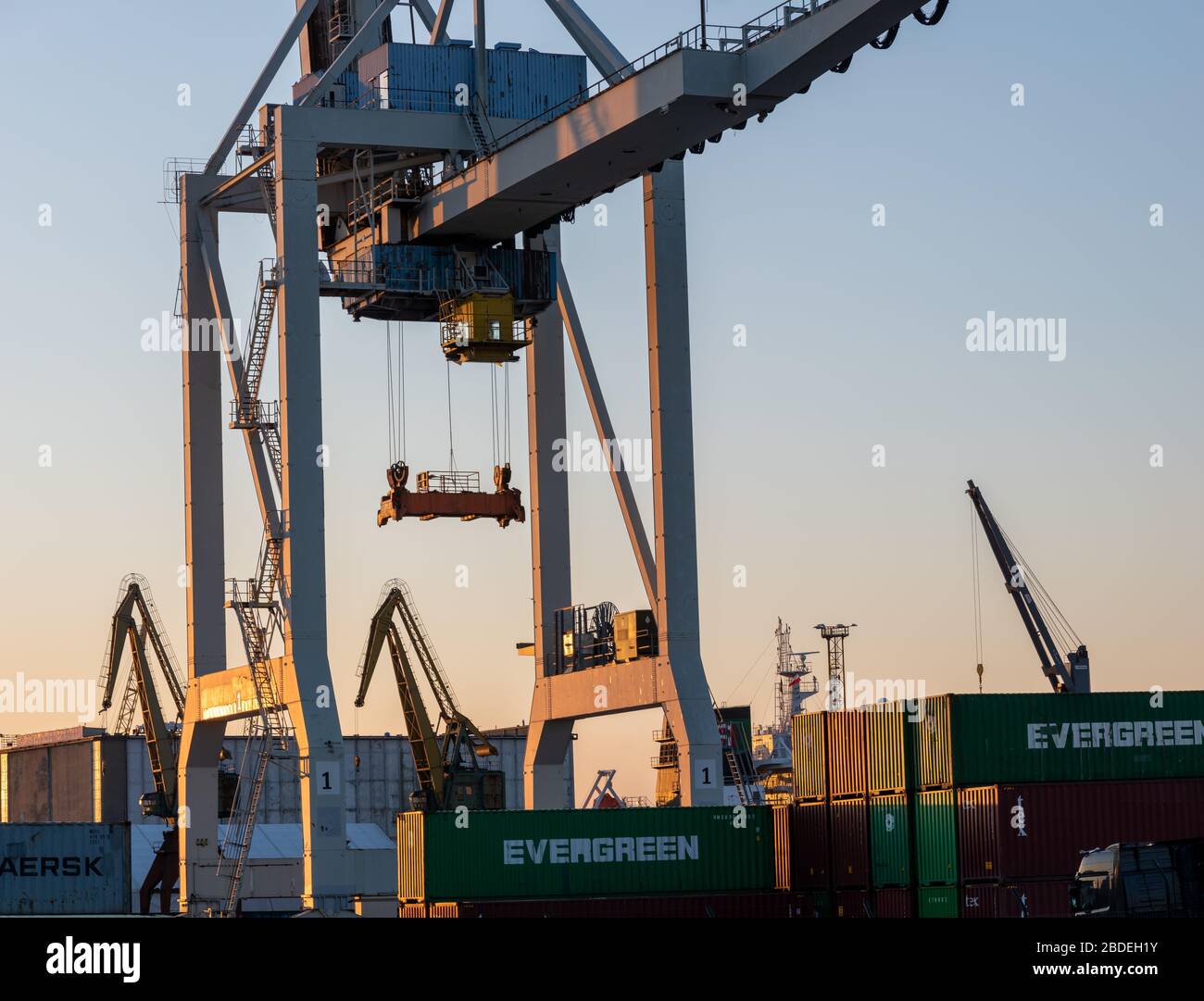 Container Evergreen scaricati da una gru portuale Foto Stock
