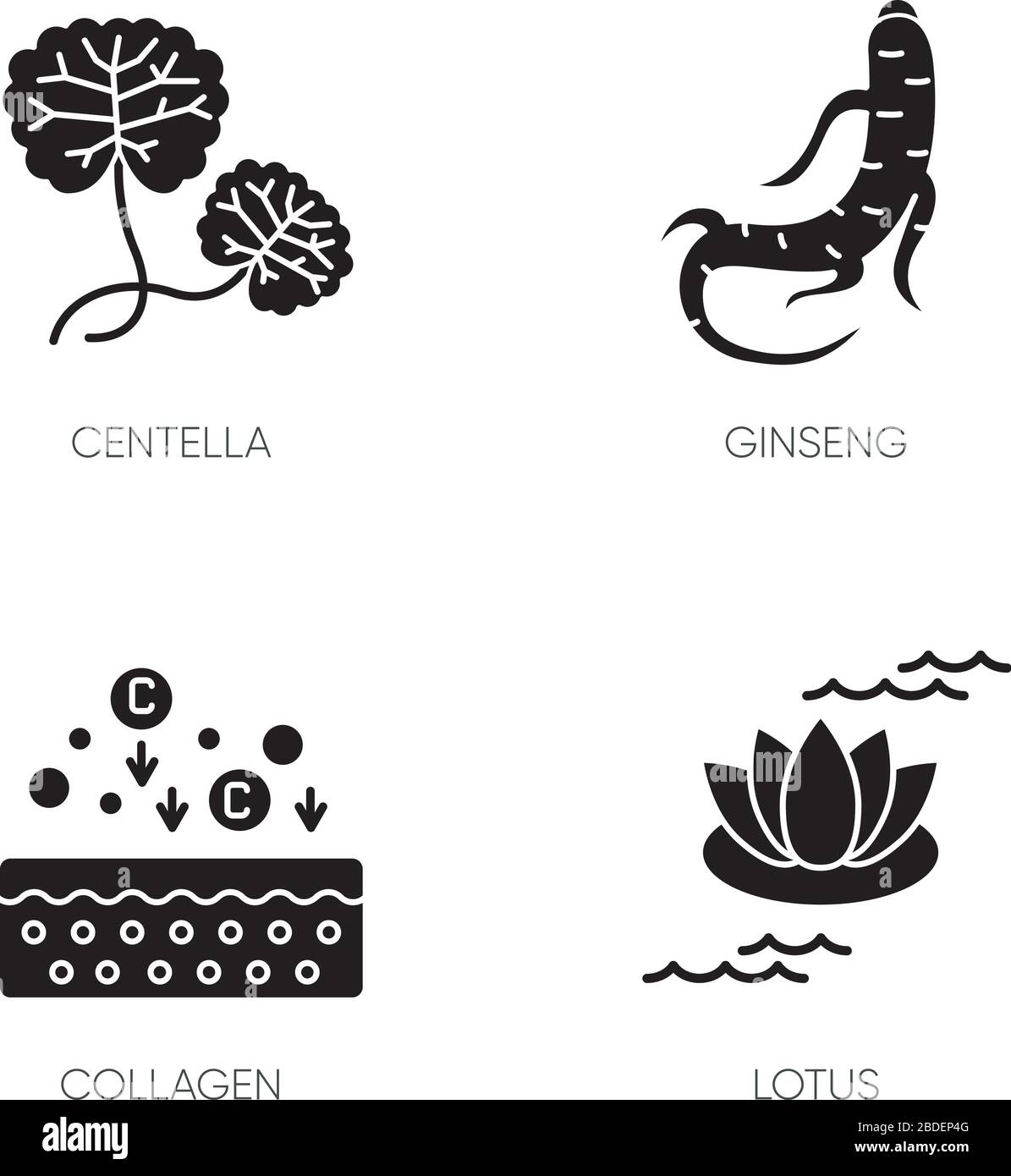 Ingrediente cosmetico icone glyph nero impostato su spazio bianco. Stabilimento di Centella. Radice di ginseng. Formula del collagene. Fiore di loto. Bellezza coreana. Silhouette Illustrazione Vettoriale