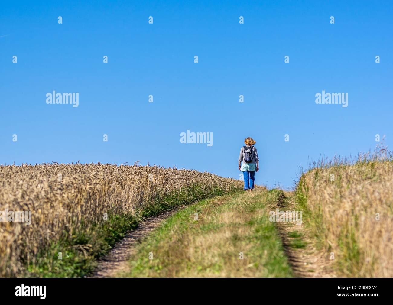 Una donna che cammina tra due campi di grano in una giornata di sole con un cielo azzurro. Foto Stock