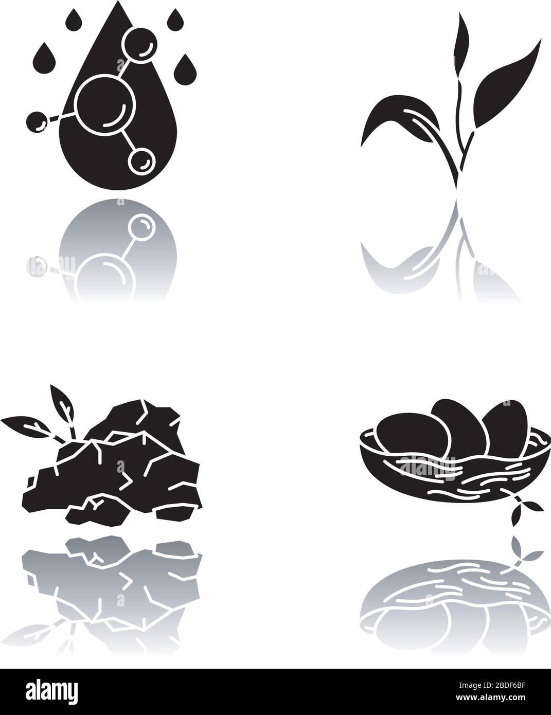 Ingrediente cosmetico ombra ombra nero glyph icone impostato. Acido ialuronico. Nido di uccelli. Trattamento di cura della pelle. Componente organico per esfoliazione. Coreano Illustrazione Vettoriale