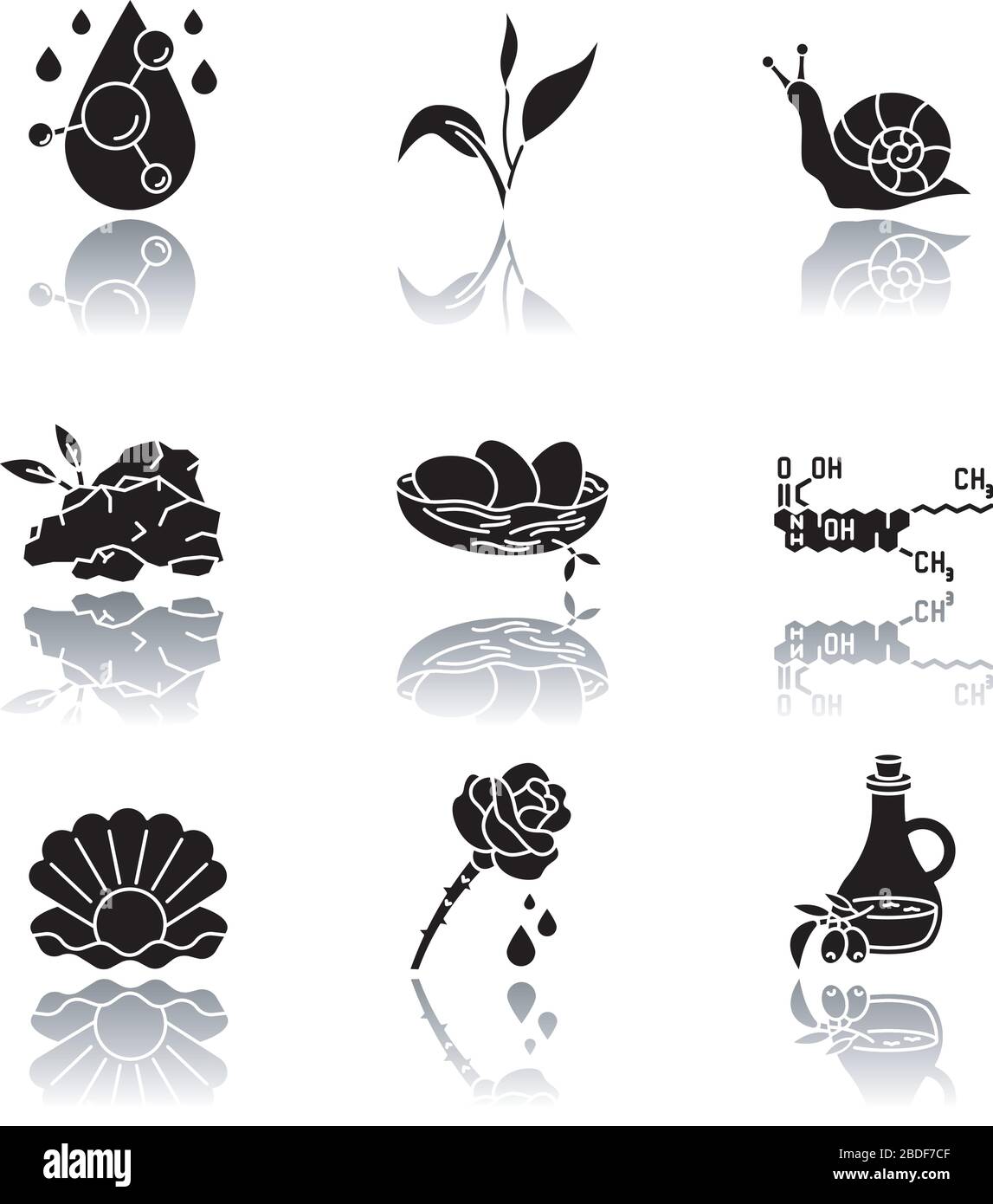 Ingrediente cosmetico ombra ombra nero glyph icone impostato. Formula chimica per cosmetologia. Trattamento dermatologico. Cura della pelle naturale. Componenti organici Illustrazione Vettoriale