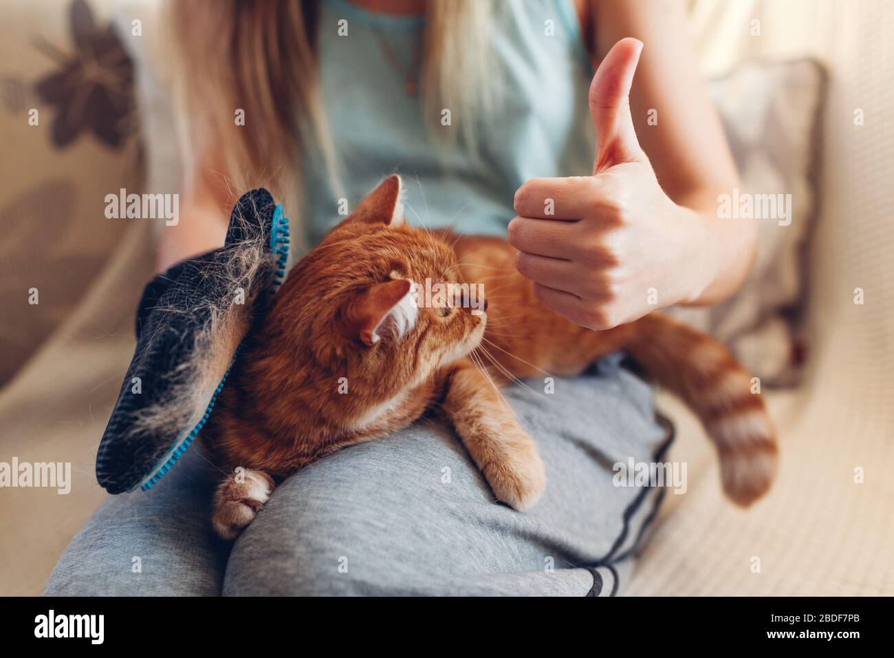 Gatto spazzolante con guanto per rimuovere i capelli degli animali domestici. Donna che si prende cura dell'animale combinandolo con guanto in gomma per le mani a casa Foto Stock