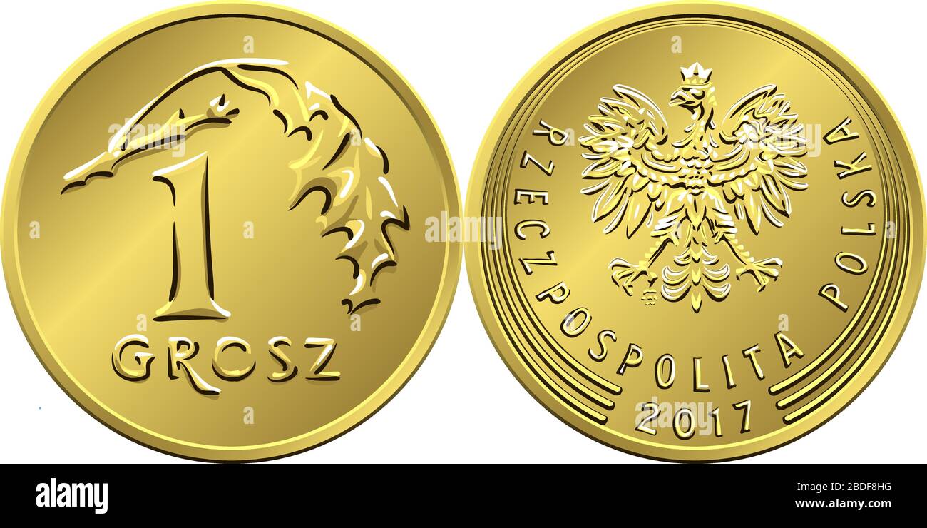 Vettore Polish Money una moneta di rame grosz inversa con valore e 1 foglie obverse con aquila in corona d'oro Illustrazione Vettoriale