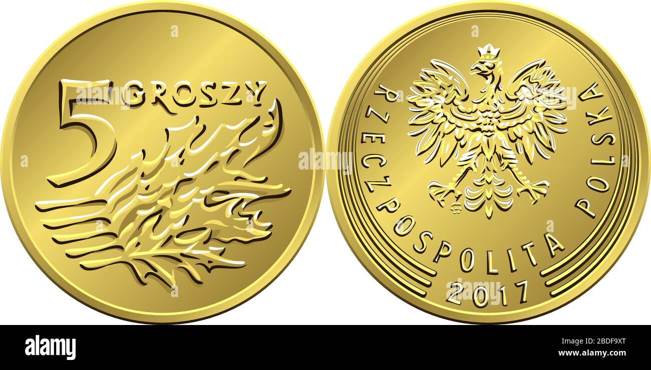Vettore Polish Money cinque groszy rame moneta inversa con valore e 5 foglie obverse con aquila in corona d'oro Illustrazione Vettoriale