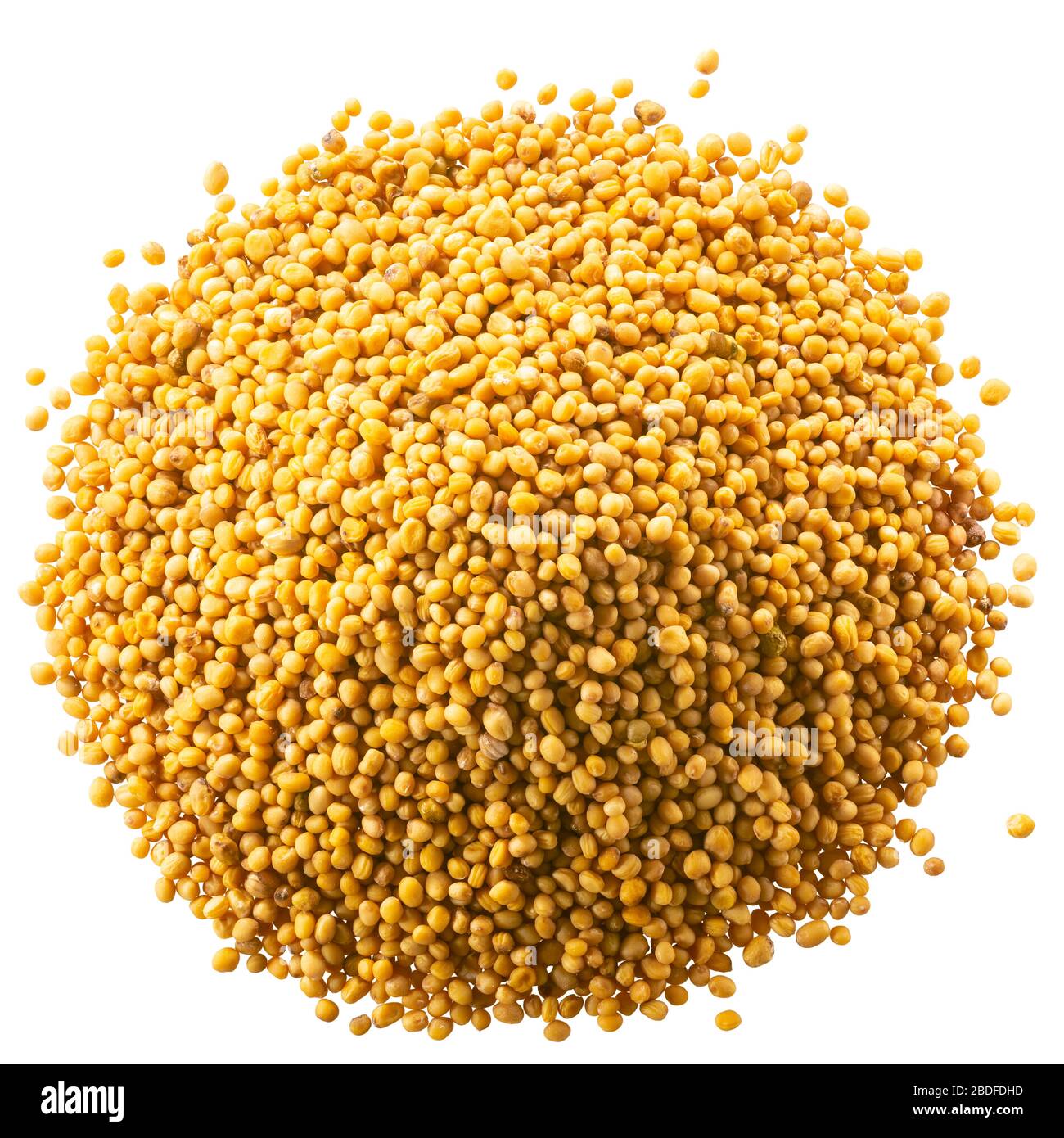 Mucchio di semi di senape interi essiccati (Sinapis alba), isolati, vista dall'alto Foto Stock