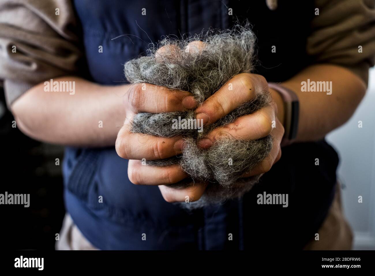 Primo piano di donna che tiene mazzo di capelli di cavallo ripieno per la sella. Foto Stock