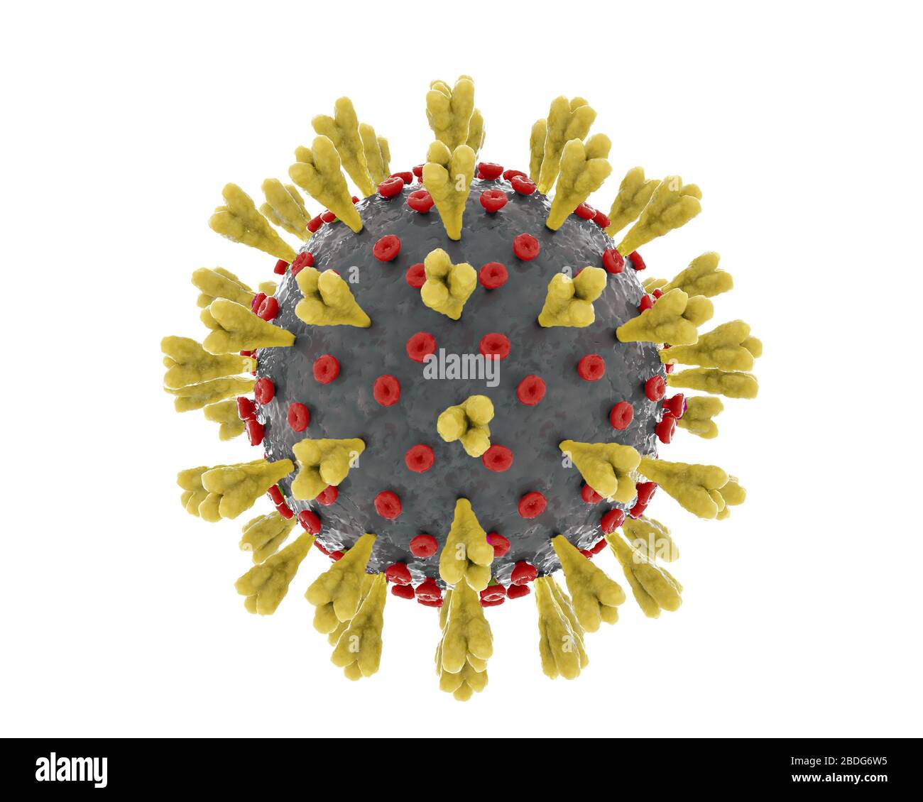 Nuovo coronavirus che causa il covid-19 isolato su sfondo bianco. Foto Stock