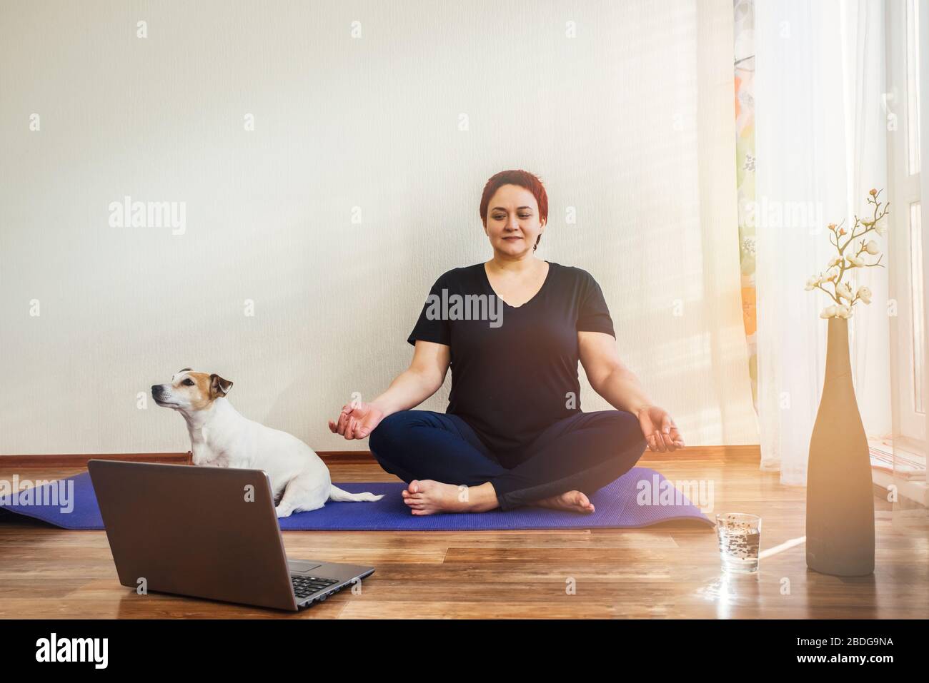 Ragazza adulta con un cane Jack Russell pratica lezione di yoga online a casa durante l'isolamento quarantena durante la pandemia coronavirus. Foto Stock