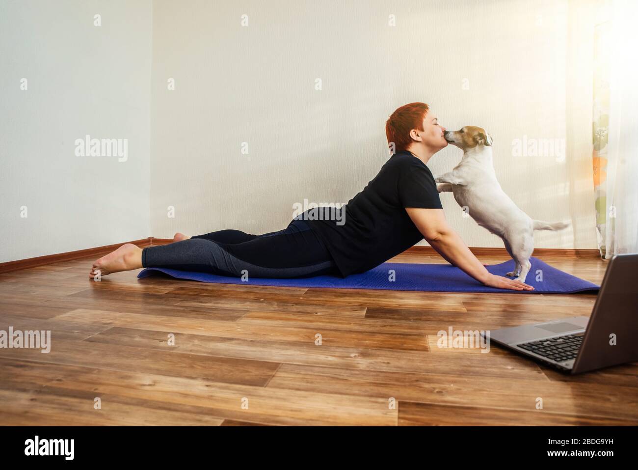 La ragazza adulta pratica online lezione di yoga a casa durante l'isolamento quarantena durante la pandemia coronavirus. Il cane lecca la faccia della ragazza Foto Stock