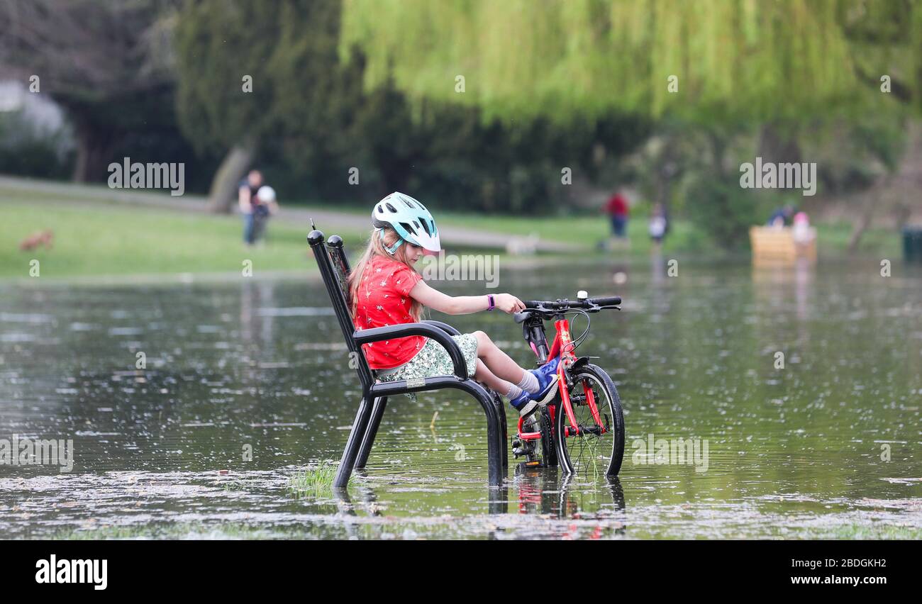 Londra, Regno Unito. 8 aprile 2020 l'alta marea primaverile fa scoppiare le sue banche il Tamigi a Radnor Gardens, Twickenham. I bambini, gli adulti e gli animali domestici fuori per il loro esercizio quotidiano durante la crisi di Coronavirus godono dell'acqua di inondazione. Andrew Fosker / Alamy Live News Foto Stock