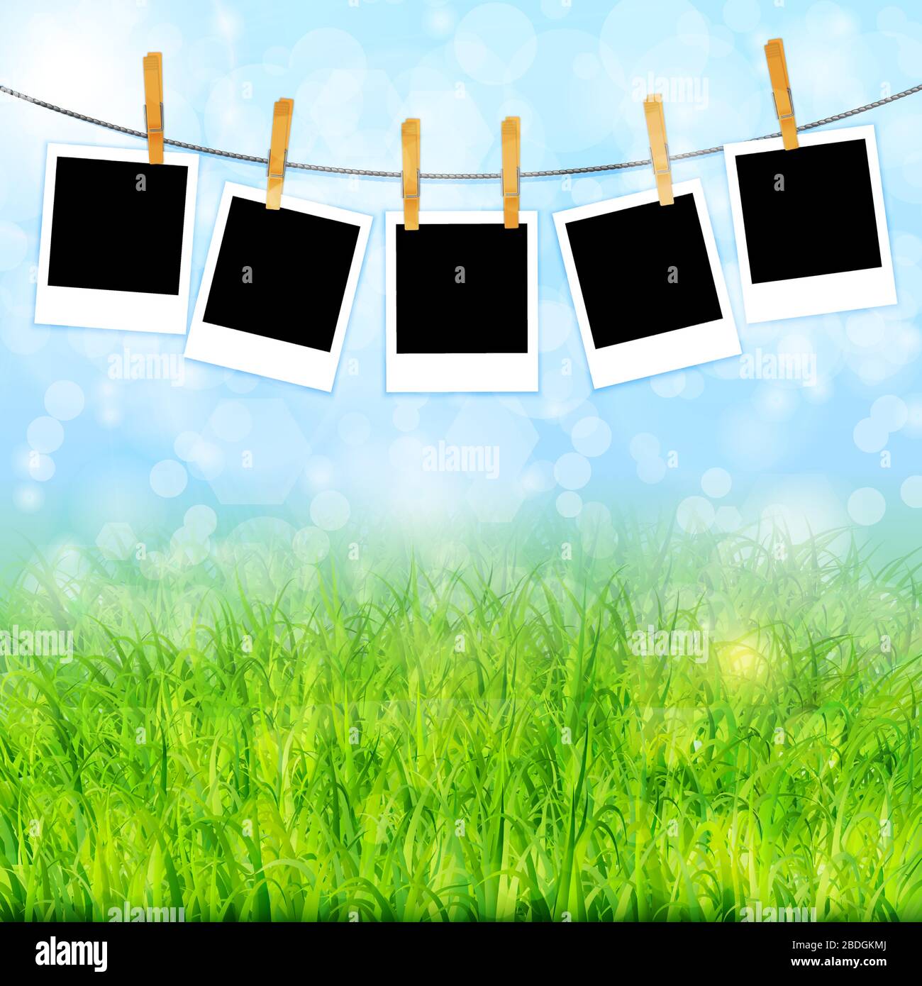 La natura dello sfondo con erba verde e foto sul vettore di corda Illustrazione Vettoriale