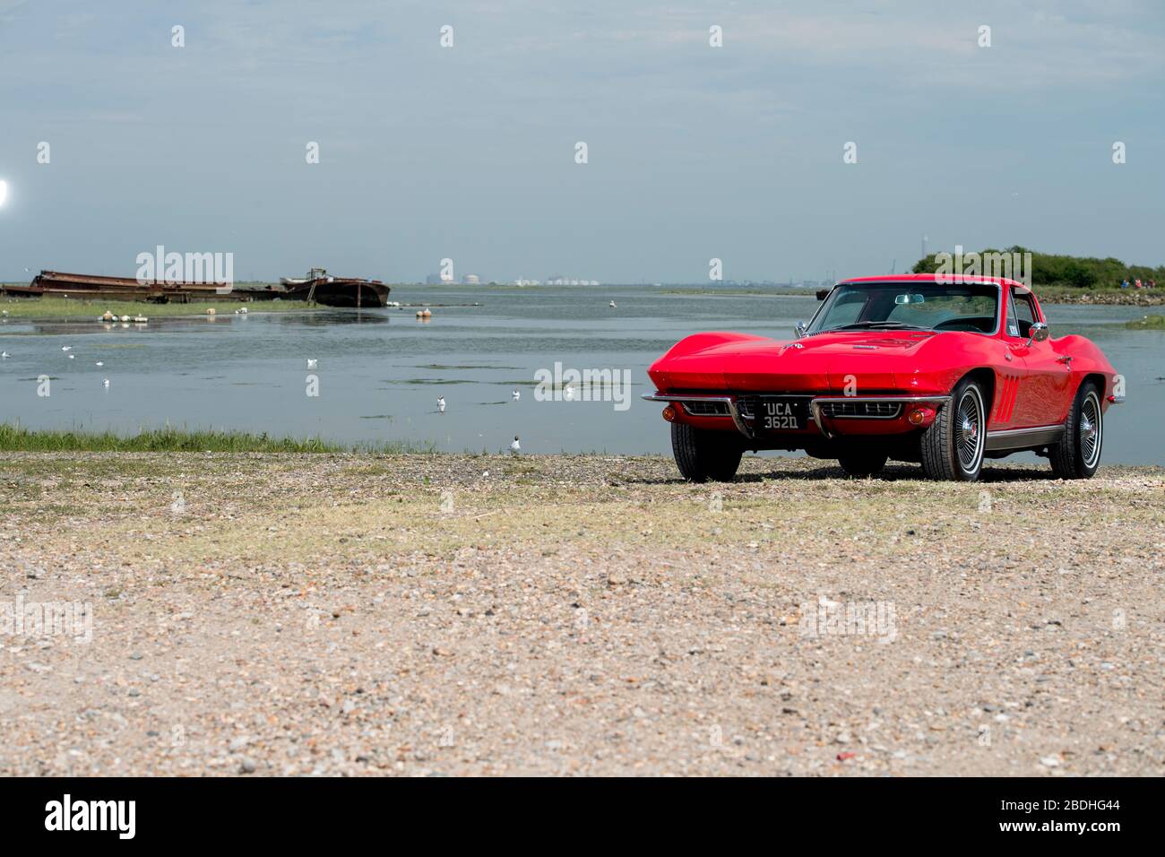 1966 Corvette Stingray classica auto sportiva americana Foto Stock