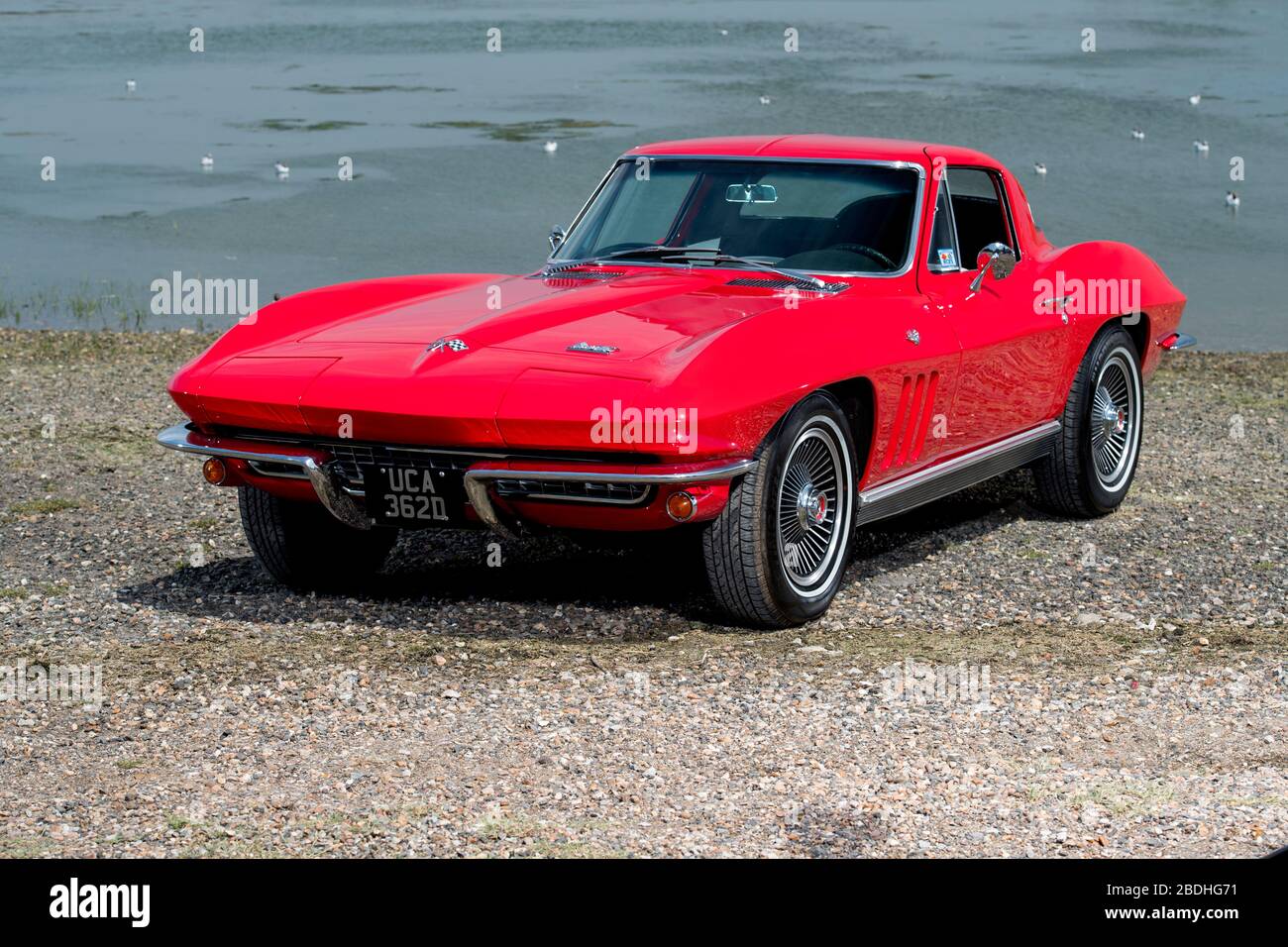 1966 Corvette Stingray classica auto sportiva americana Foto Stock