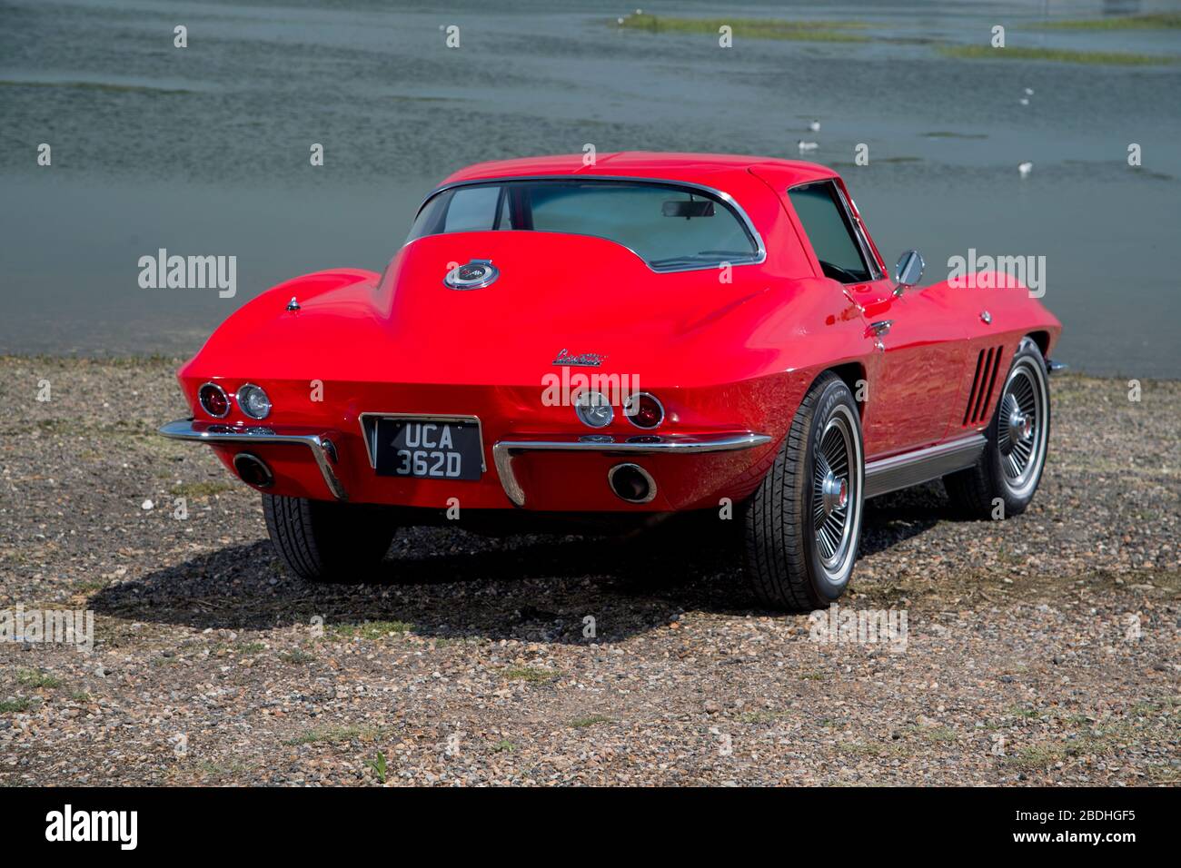 1966 Corvette Stingray classica auto sportiva americana Foto Stock