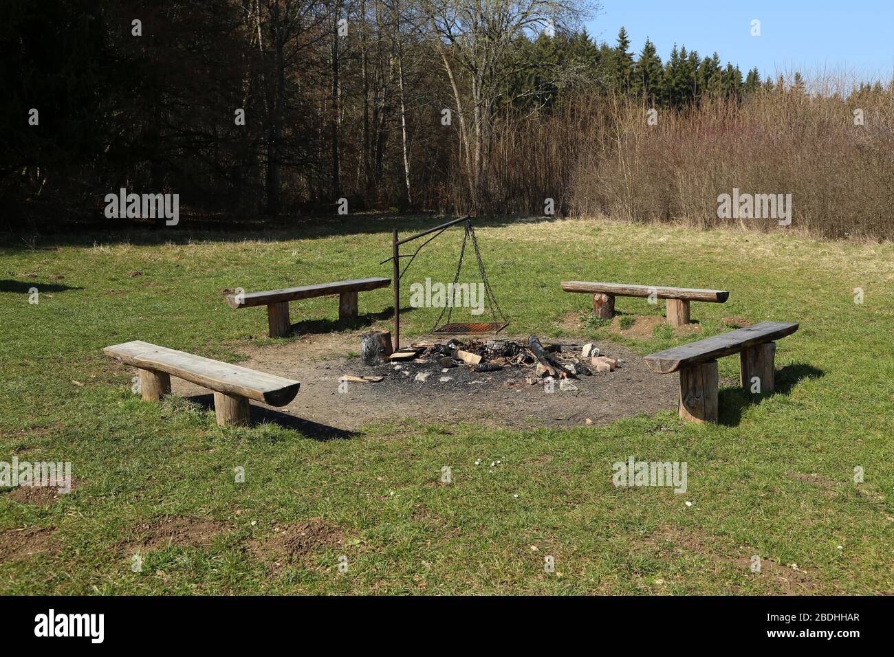 Area barbecue con quattro panchine in legno nella foresta Foto Stock