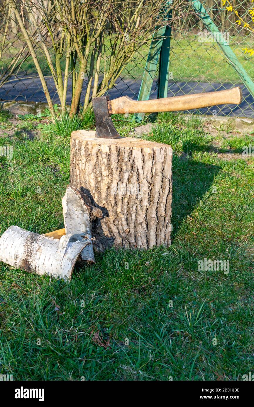 Tritare un albero per fumare con un'ascia Foto Stock