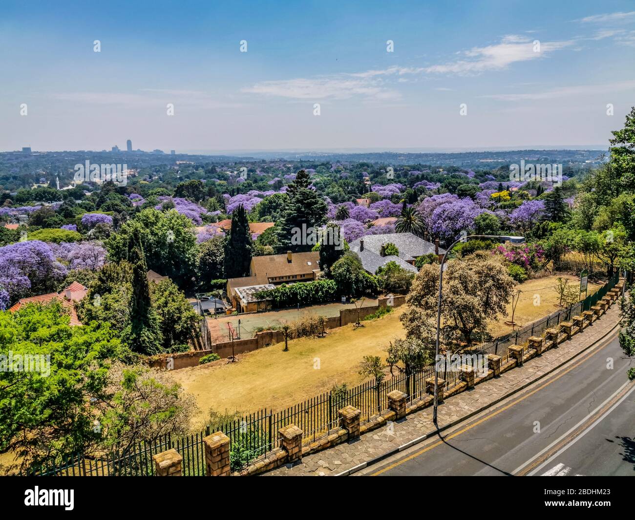 Veduta aerea di Johannesburg , la più grande foresta urbana durante la primavera - Jacaranda fiorente in ottobre in Sudafrica Foto Stock