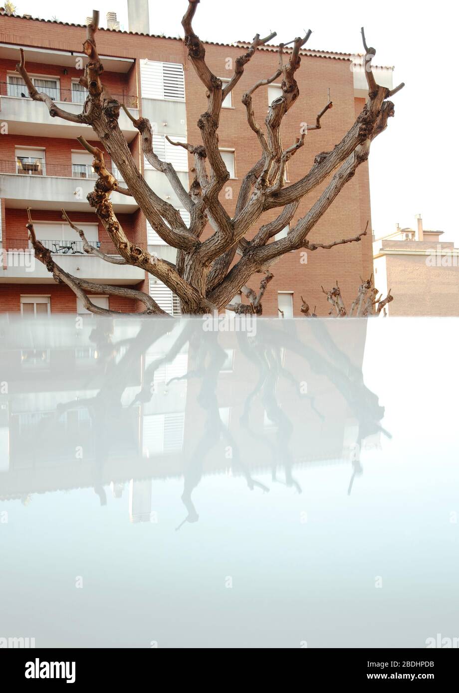 Sfondi 4K Foto Stock