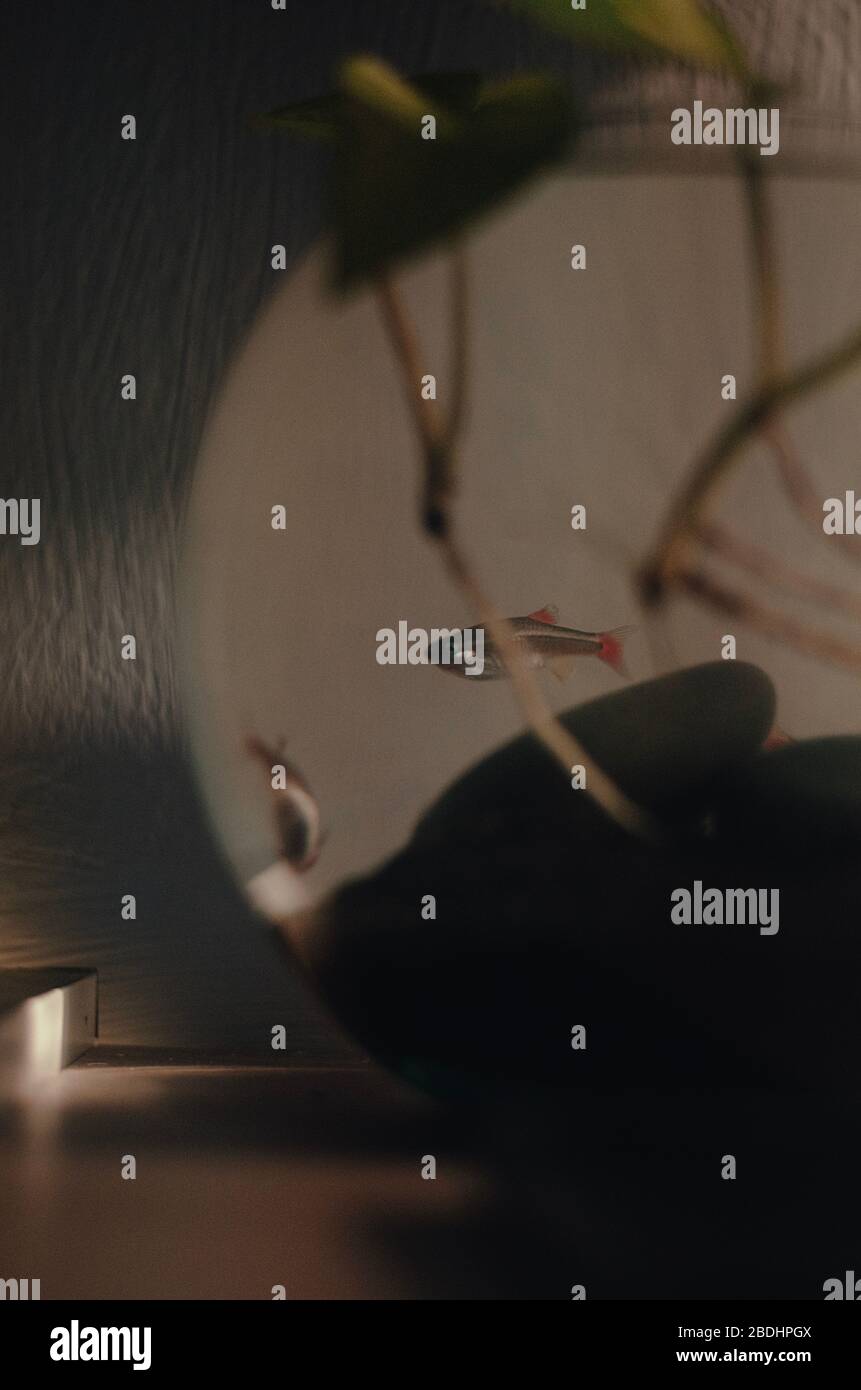 Sfondi 4K Foto Stock