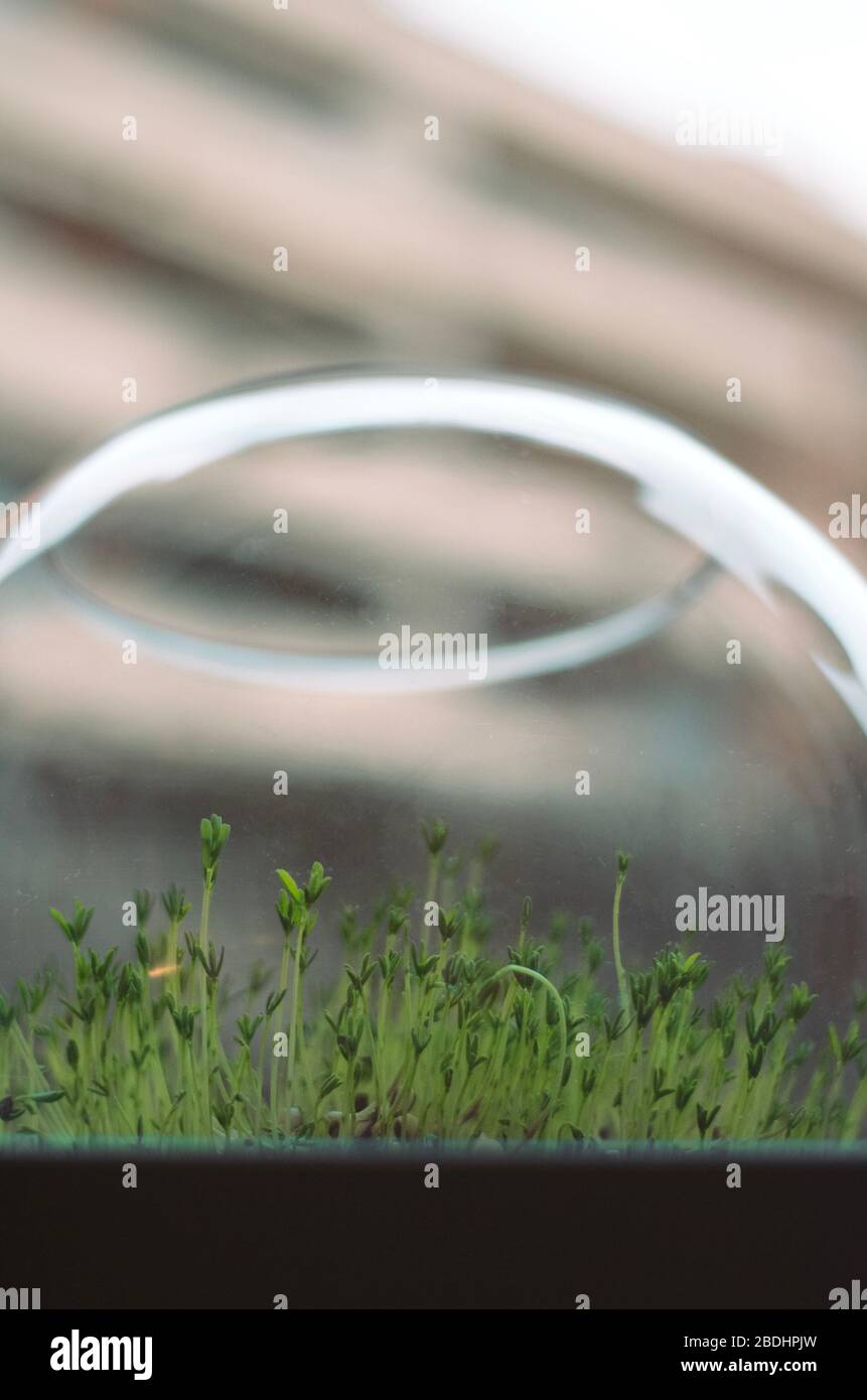 Sfondi 4K Foto Stock