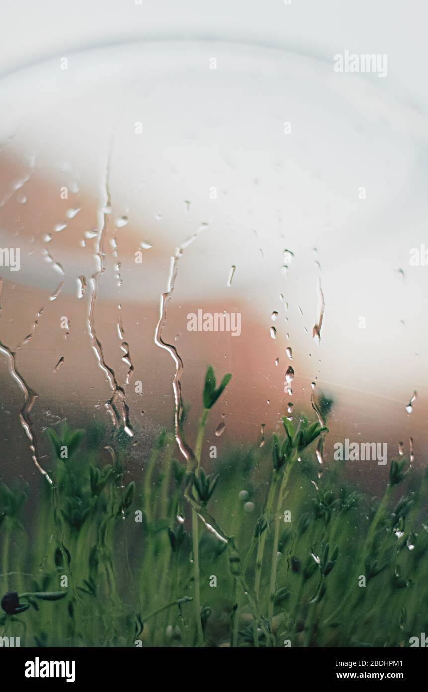 Sfondi 4K Foto Stock