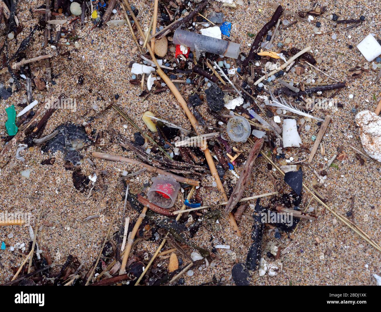 Inquinamento spiaggia micro plastica e industria della pesca commerciale corda di plastica scarta in mare. Cornwall Regno Unito. Credito: Robert Taylor/Alamy. Foto Stock