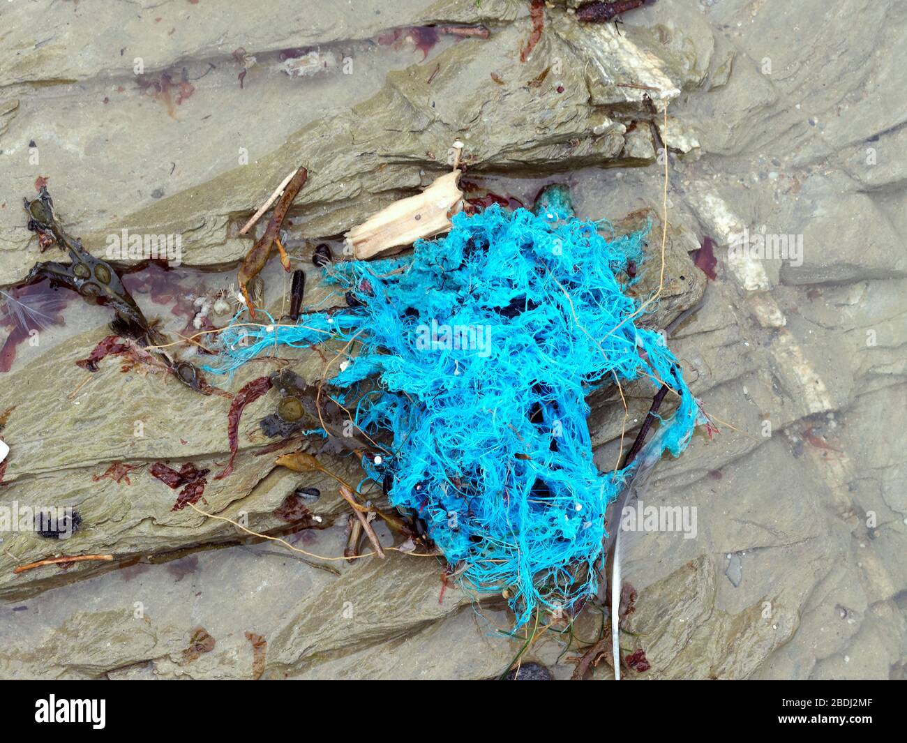 Inquinamento spiaggia micro plastica e industria della pesca commerciale corda di plastica scarta in mare. Cornwall Regno Unito. Credito: Robert Taylor/Alamy. Foto Stock