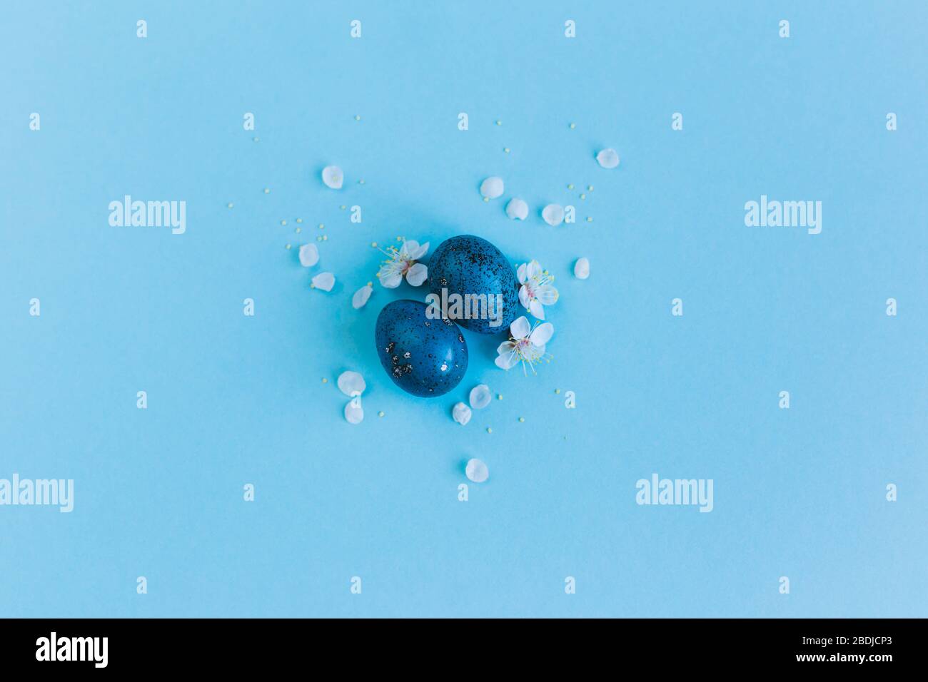 Sfondo pasquale con uova e fiore primaverile. Classici colori blu. Disposizione piatta. Posizionare per il testo. Foto Stock