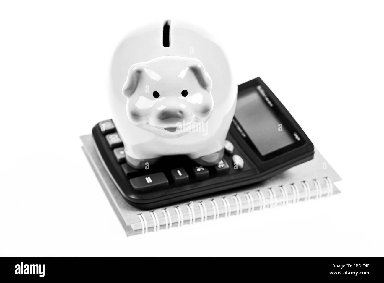 Contabilità Affari. Salvadanaio simbolo del risparmio di denaro. Servizi di contabilità. Il software di contabilità. Finanza e investimenti. Salvadanaio maiale dentellare e calcolatrice. Contabilità e bilancio familiare. Foto Stock