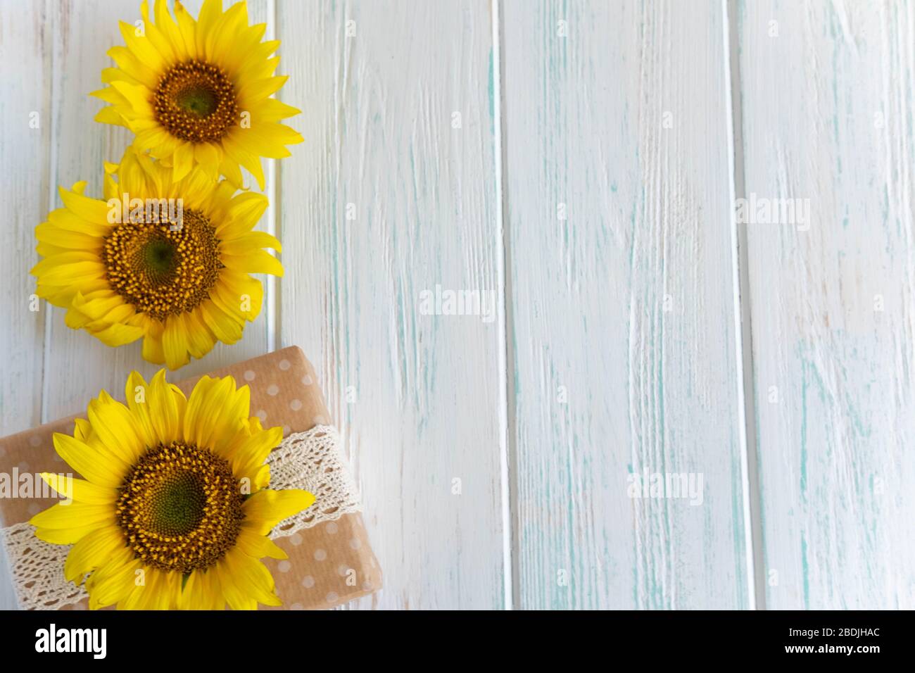Sfondo con fiori di girasole su sfondo di legno bianco con una scatola  regalo. Disegno per un biglietto d'auguri con fiori Foto stock - Alamy