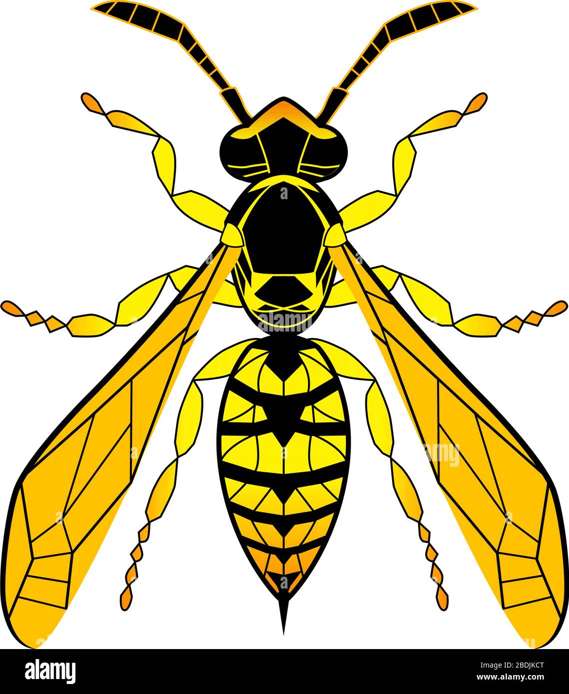 Fumetto per il disegno di linee WASP. Bee giallo isolato su sfondo bianco. Boumblebee disegnata a mano dootle, illustrazione grafica vettoriale. Stile Zentangle. Vetro macchiato di insetti. Illustrazione Vettoriale
