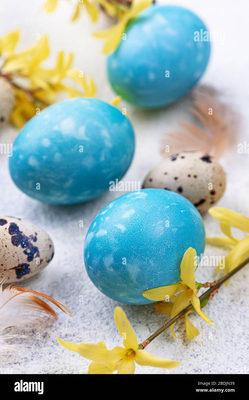 Uova di Pasqua di colore blu Foto Stock