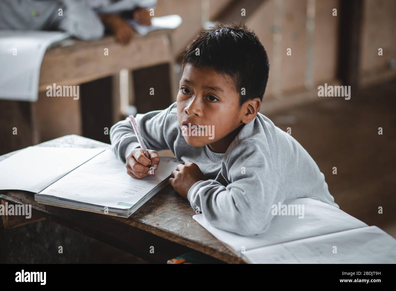 Bambini indigeni che imparano, territorio di Shiwiar, Ecuador Foto Stock