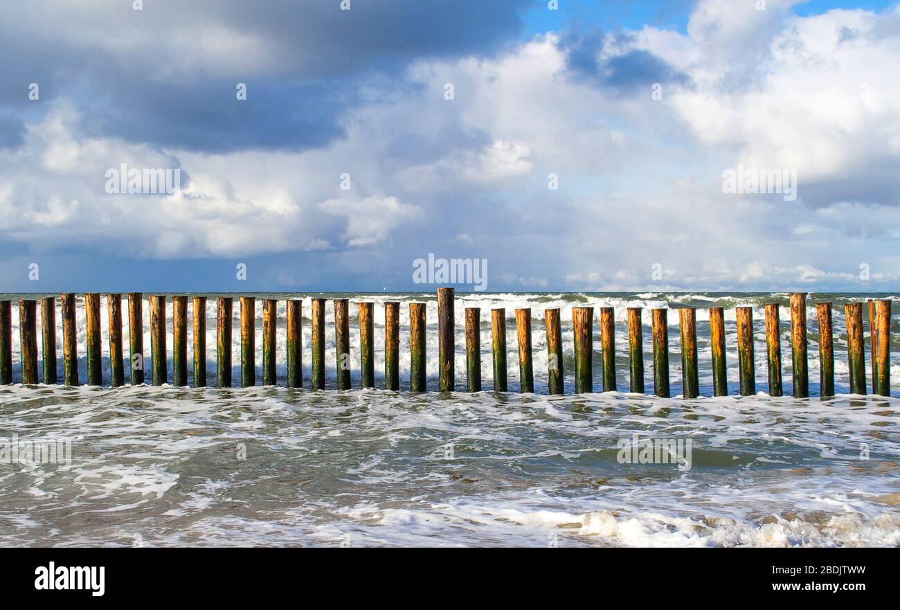 Frangiflutti di legno sulla costa del Mar Baltico, protezione per la riva contro le onde alte e l'erosione della spiaggia. Sfondo panoramico del mare Foto Stock