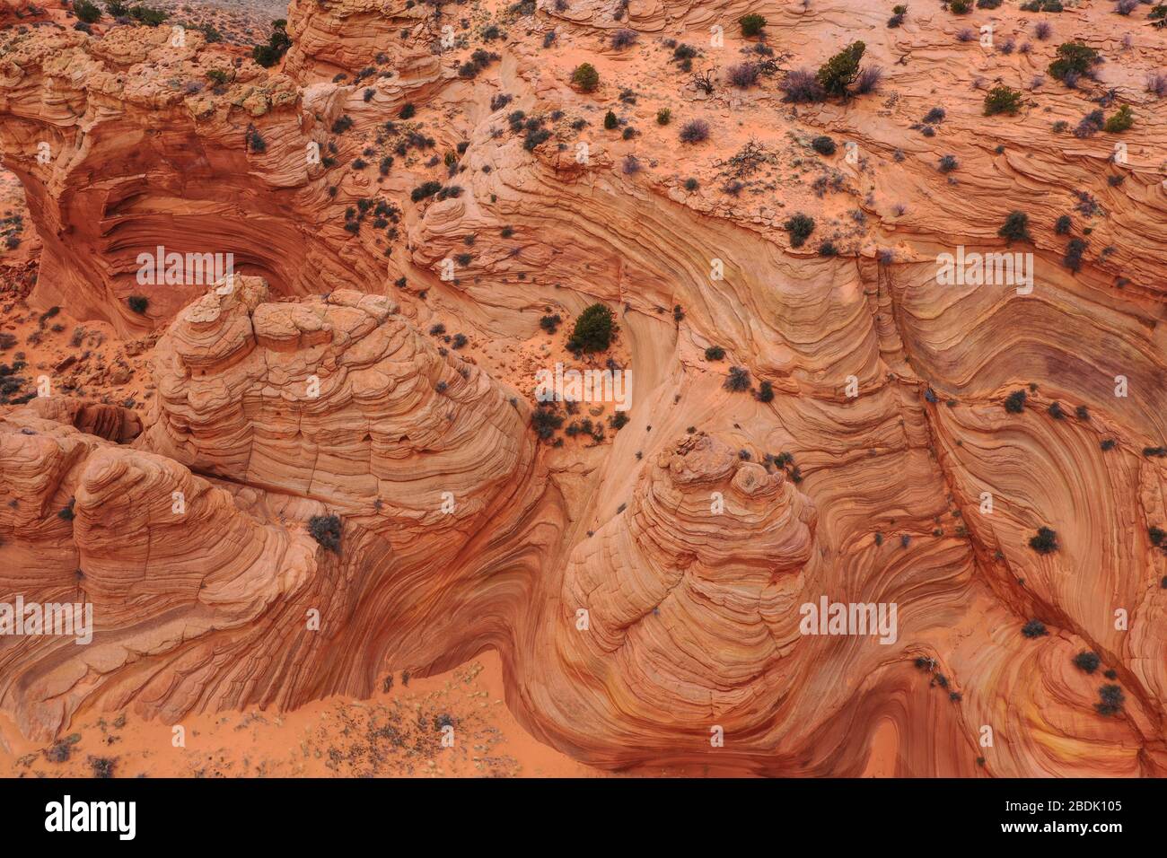 Strane formazioni rocciose nel deserto dell'Arizona di Wah Wewap Foto Stock