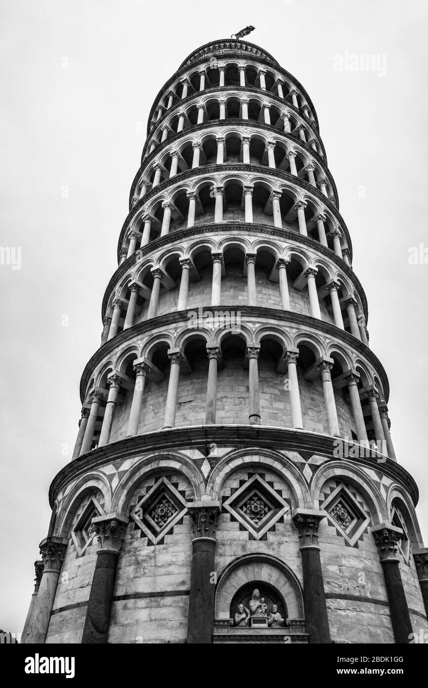 Immagine in bianco e nero della Torre di Pisa (Torre di Pisa), uno dei monumenti italiani più rappresentativi Foto Stock